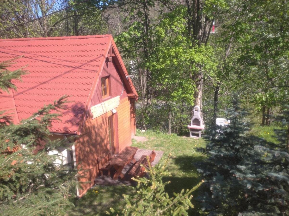Gorski Czarna Gora Sienna (Klodzko)