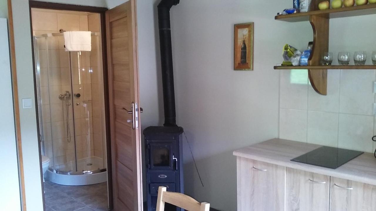 Górski I Czarna Góra Apartament *